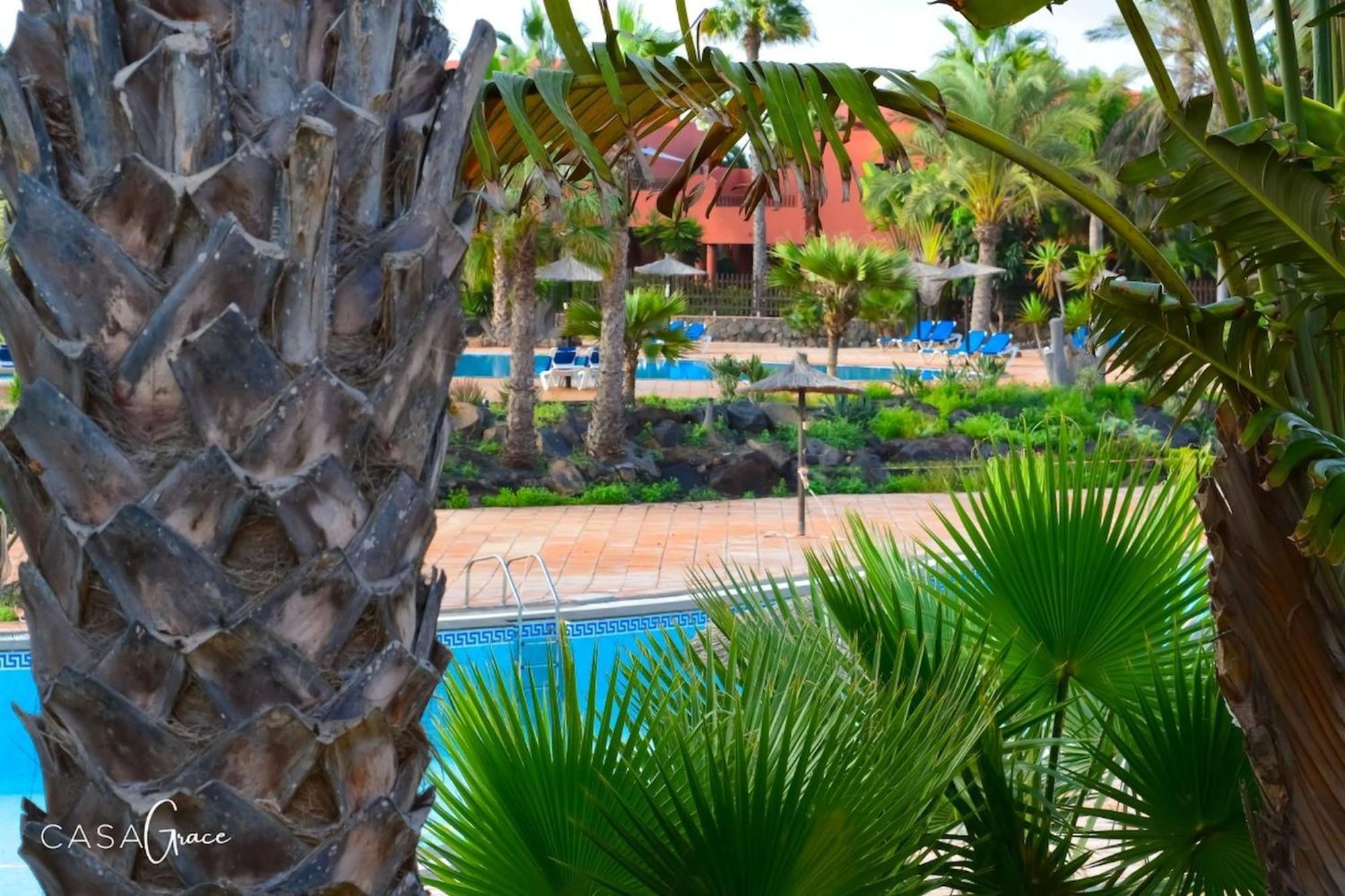 Tamarindo 1 Casa Grace Wifi Free Pool View By Rentalfue Коральео Экстерьер фото